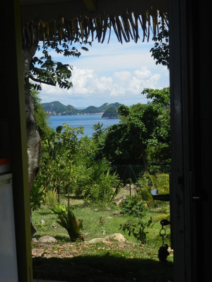 Residence Coco D'Iles, Gite Ti Bambou Terre-de-Bas エクステリア 写真