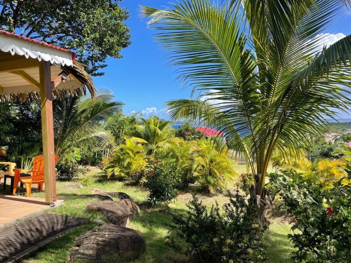 Residence Coco D'Iles, Gite Ti Bambou Terre-de-Bas エクステリア 写真