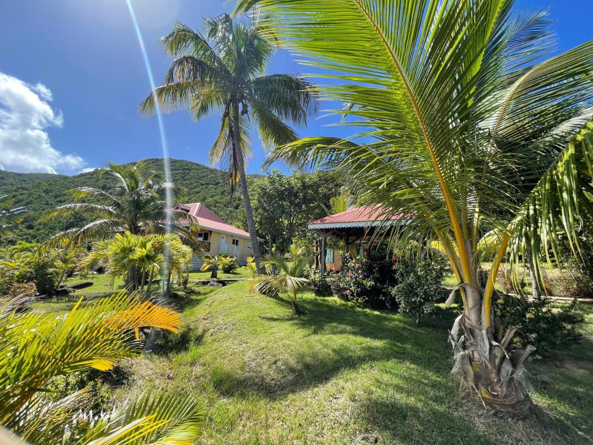 Residence Coco D'Iles, Gite Ti Bambou Terre-de-Bas エクステリア 写真